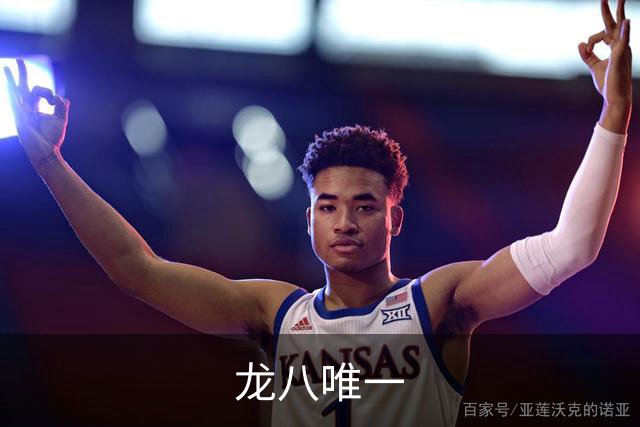龙八唯一公司环境